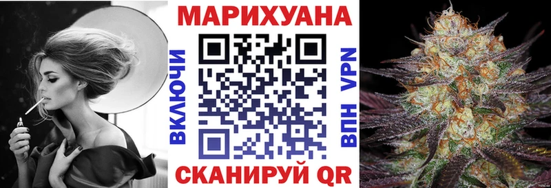 Каннабис сатива  магазин продажи   Тейково 